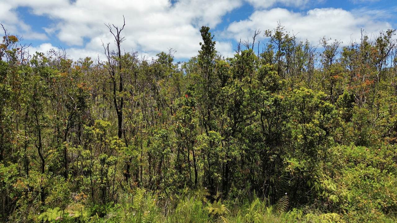 Omeka Rd - Photo 1