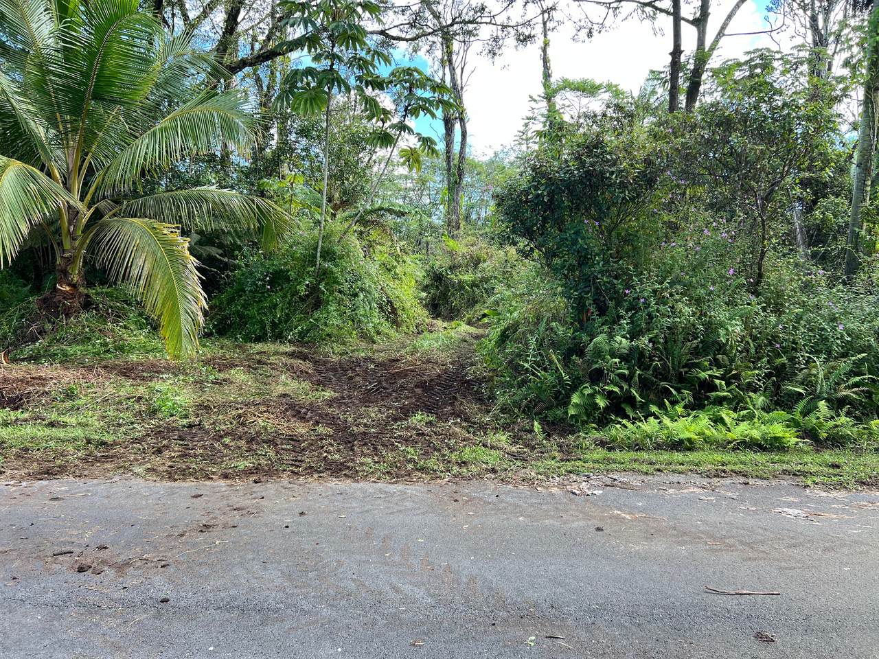 Kumakahi St - Photo 1