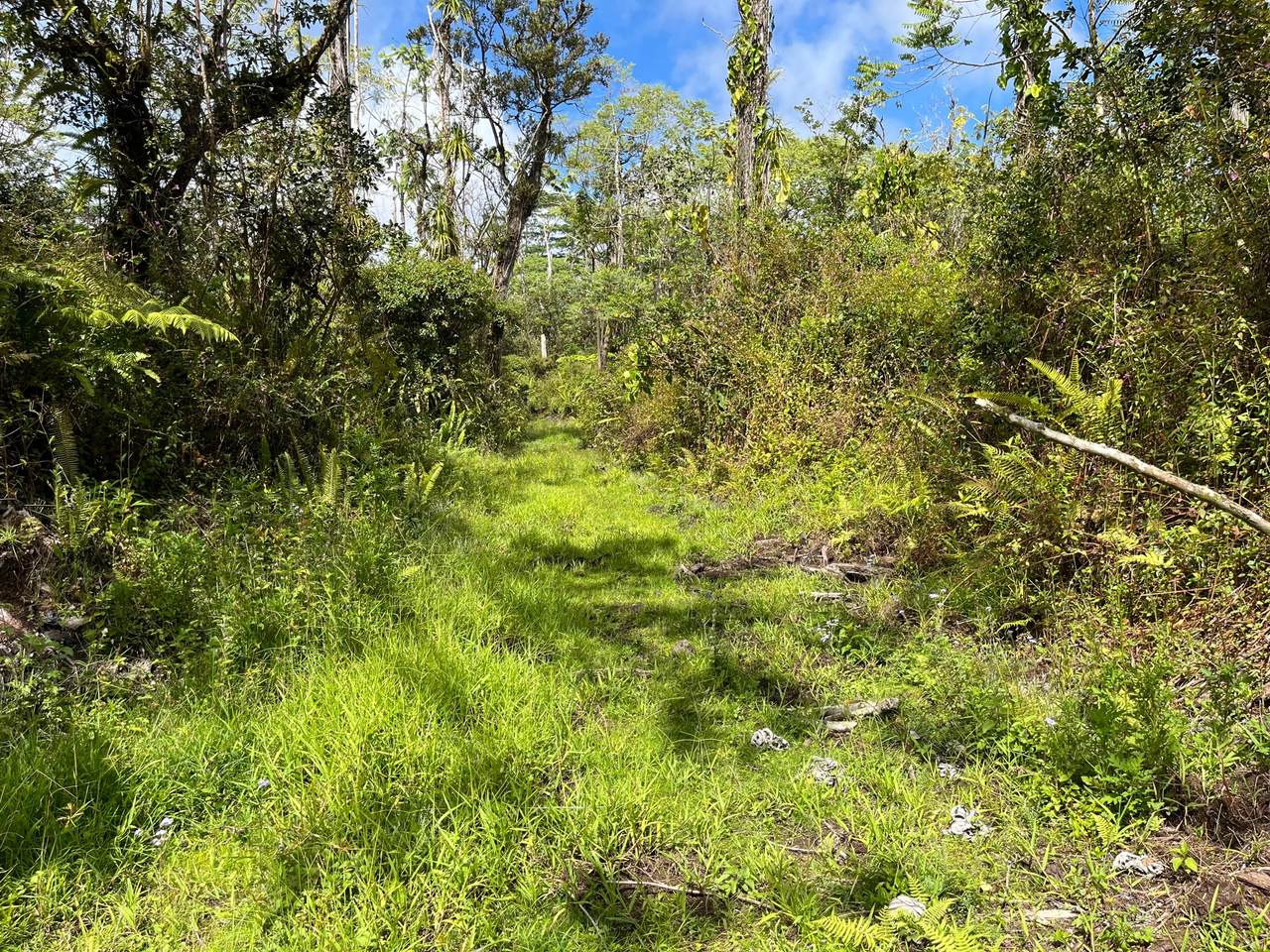https://bt-photos.global.ssl.fastly.net/hawaii/1280_boomver_1_721932-1.jpg