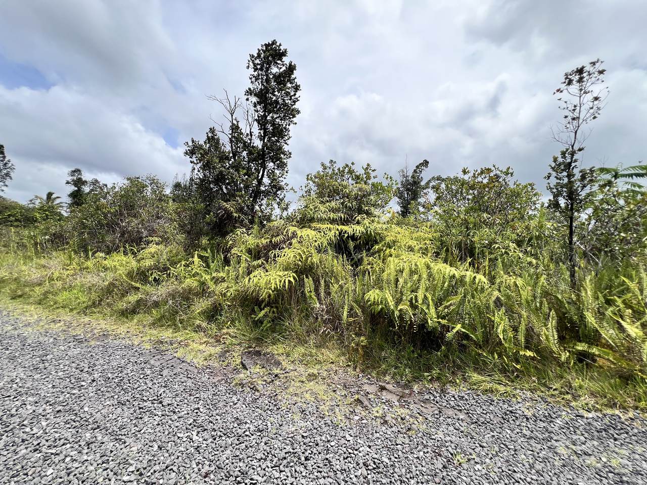 Road 9 (Koloa Maoli) - Photo 1