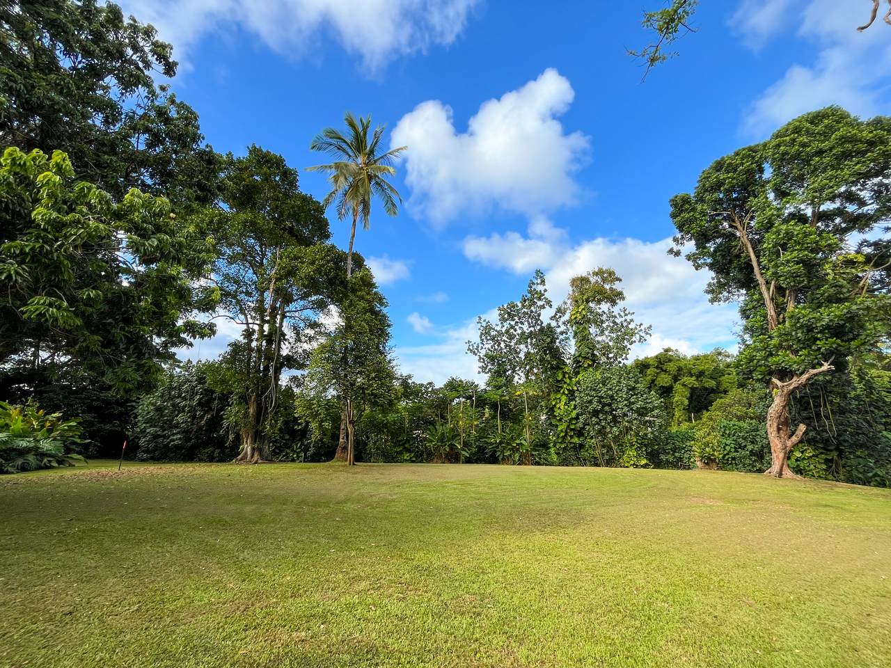 6546-D Kuamoo Rd - Photo 1