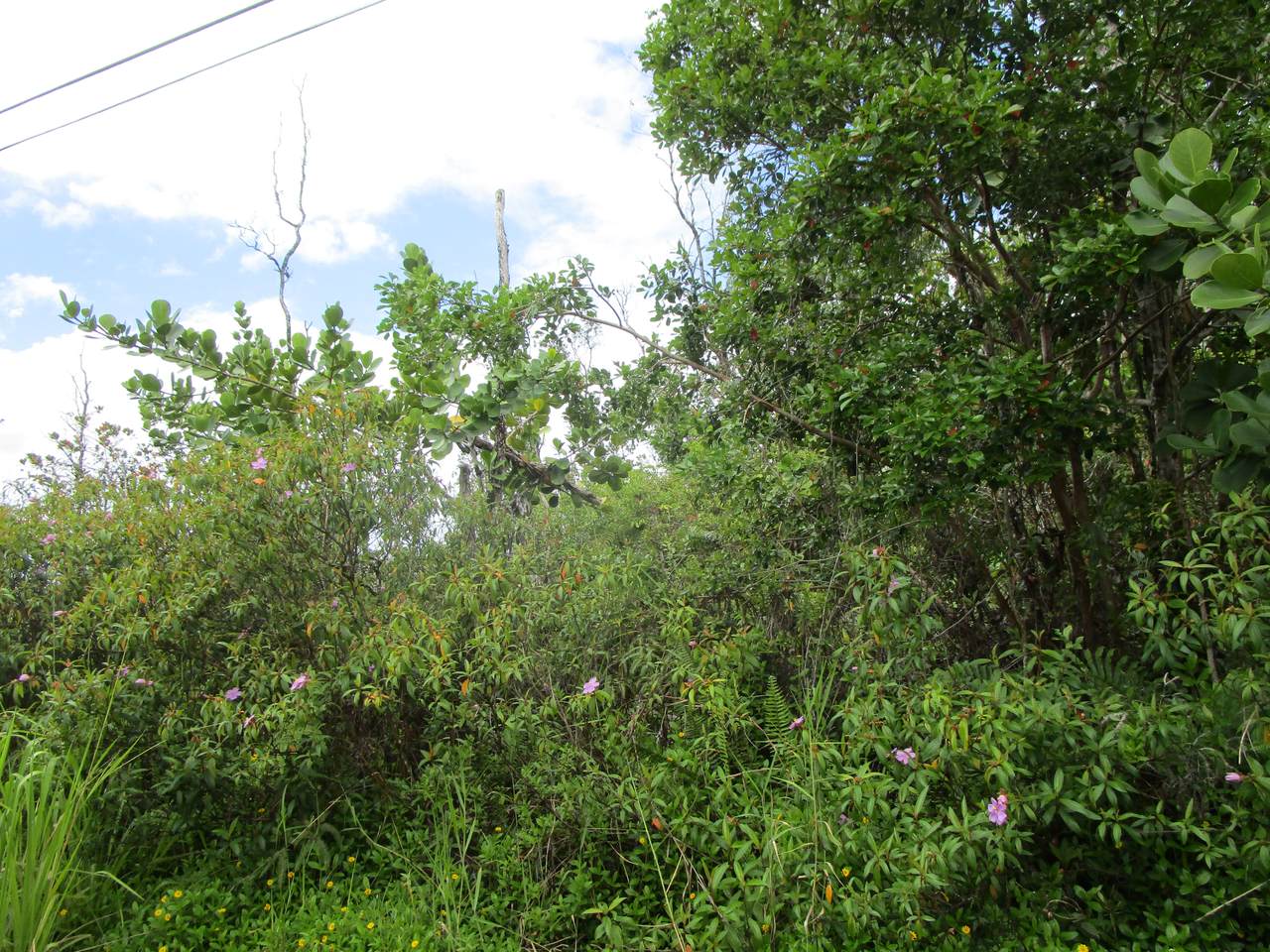 12TH AVE - Photo 1