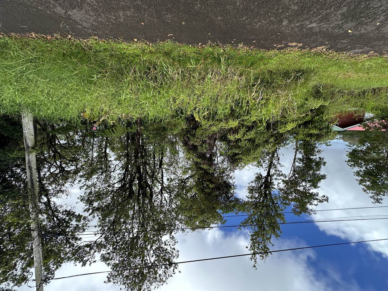 25-82 Malumalu St - Photo 1