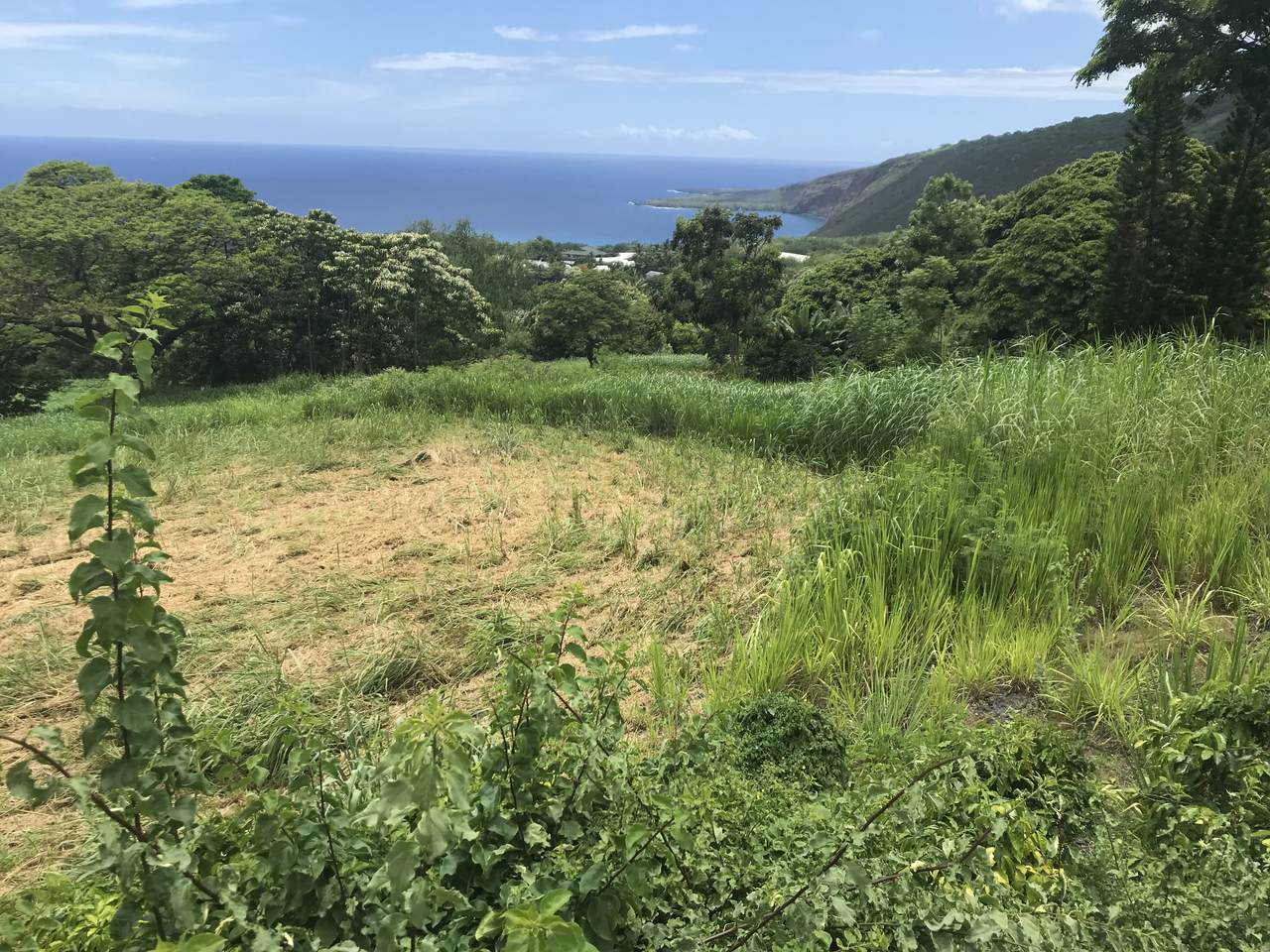 83-1025 Kahauloa Place - Photo 1