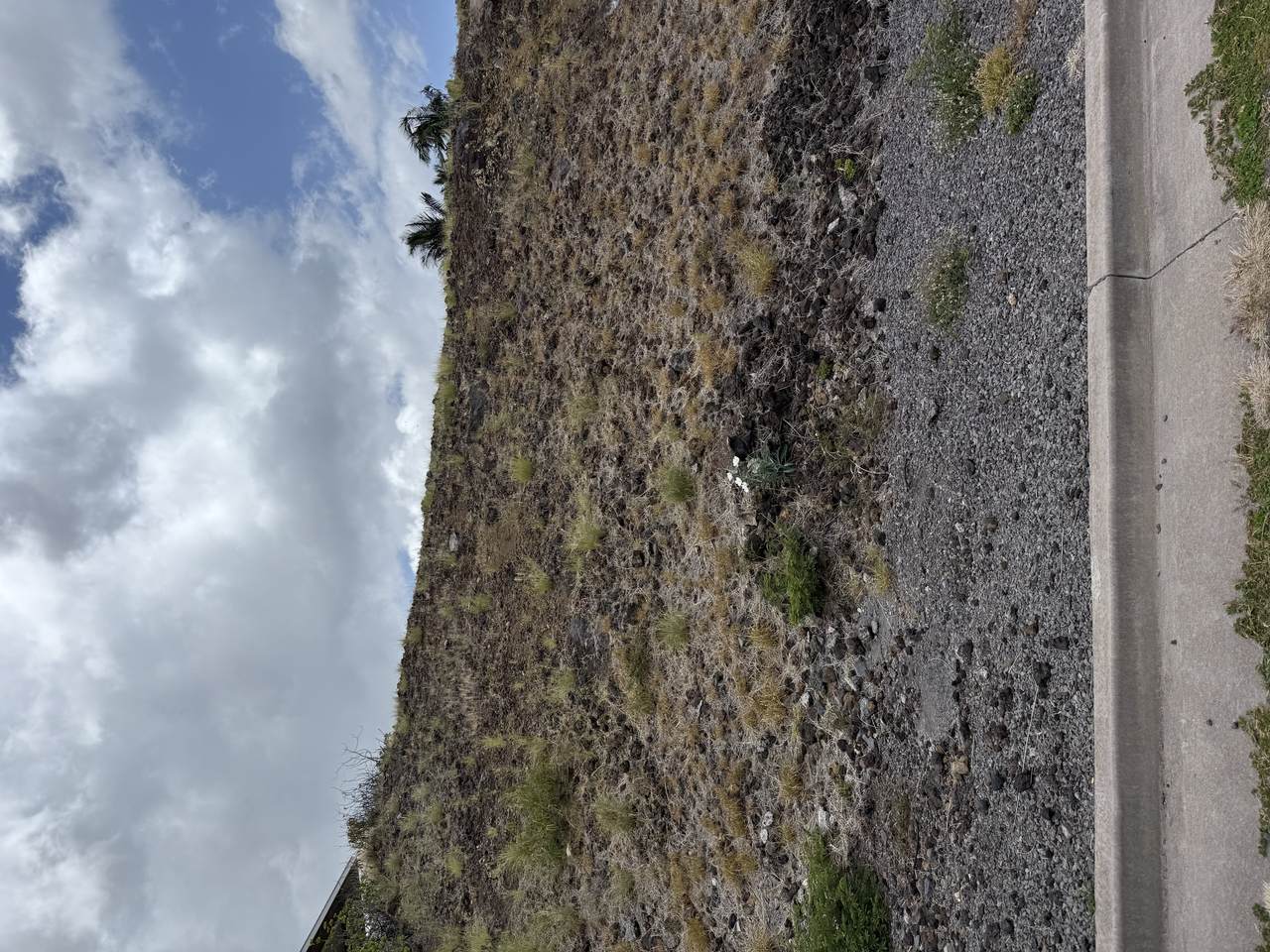  Address Not Published - Photo 1