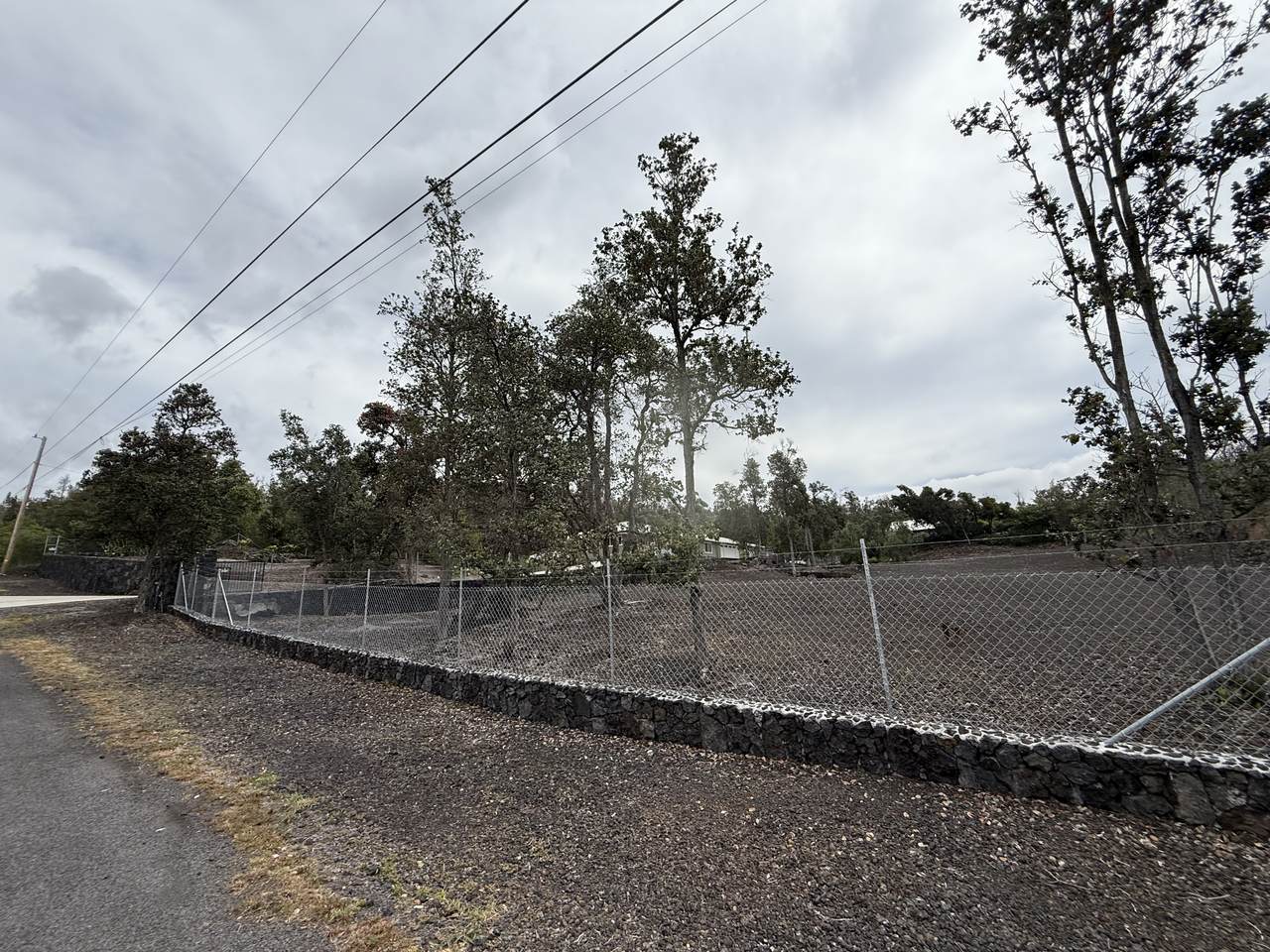  Paradise Pkwy - Photo 1