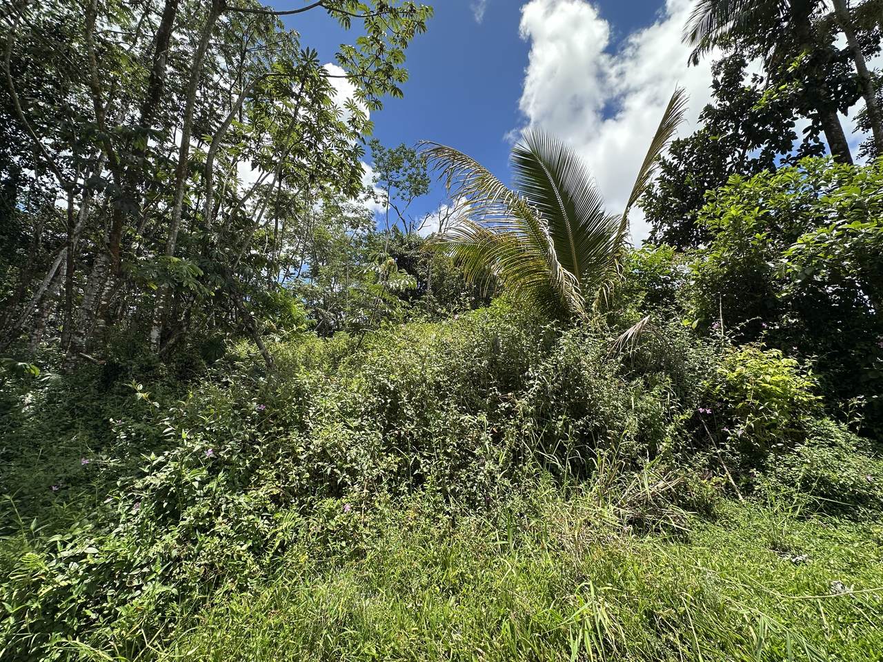  Holiday Rd - Photo 1