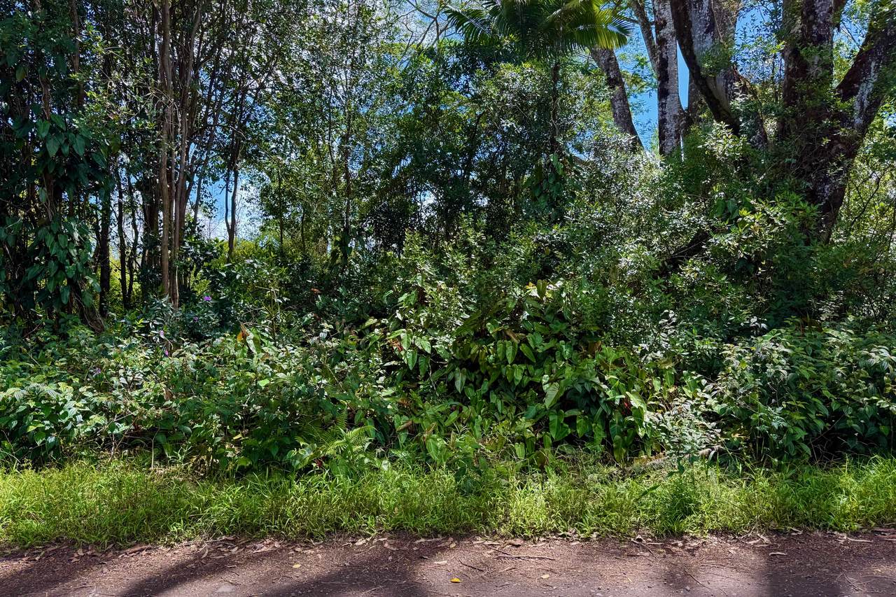 https://bt-photos.global.ssl.fastly.net/hawaii/1280_boomver_1_722926-9.jpg