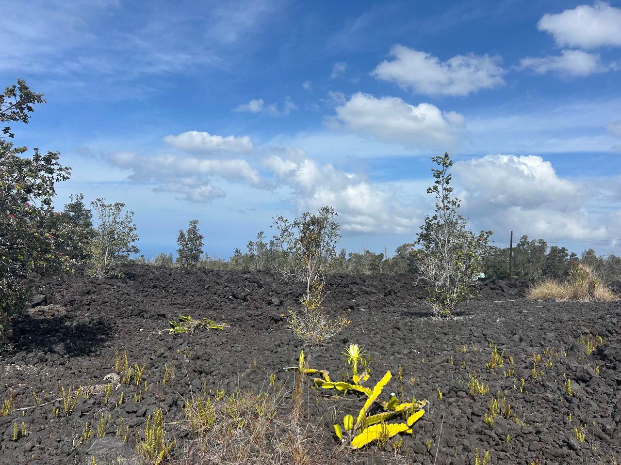  Hawaii Blvd - Photo 1