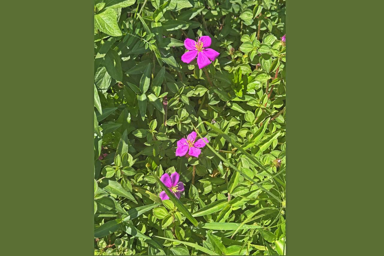  Address Not Published - Photo 1