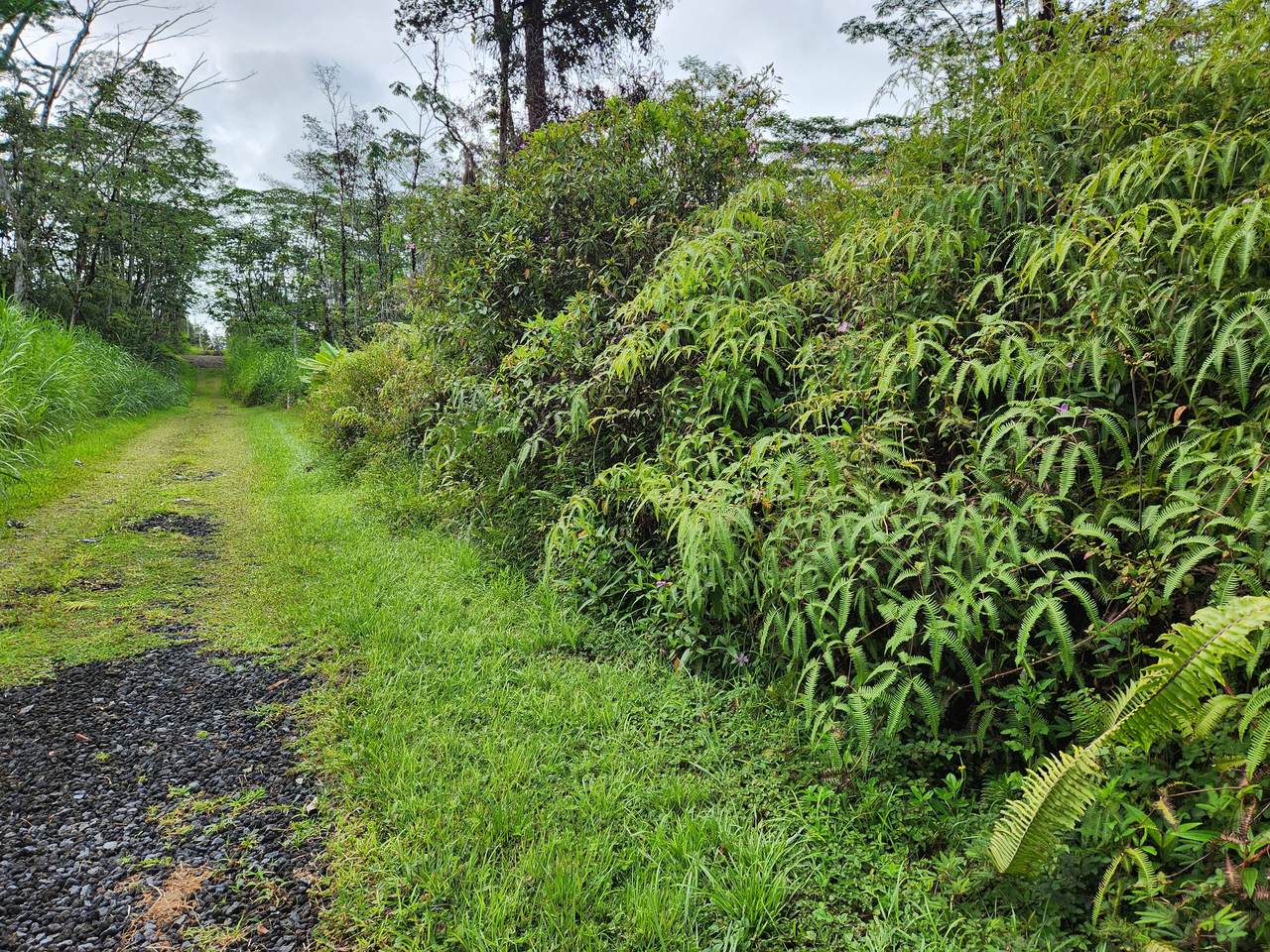  Maui Rd - Photo 1
