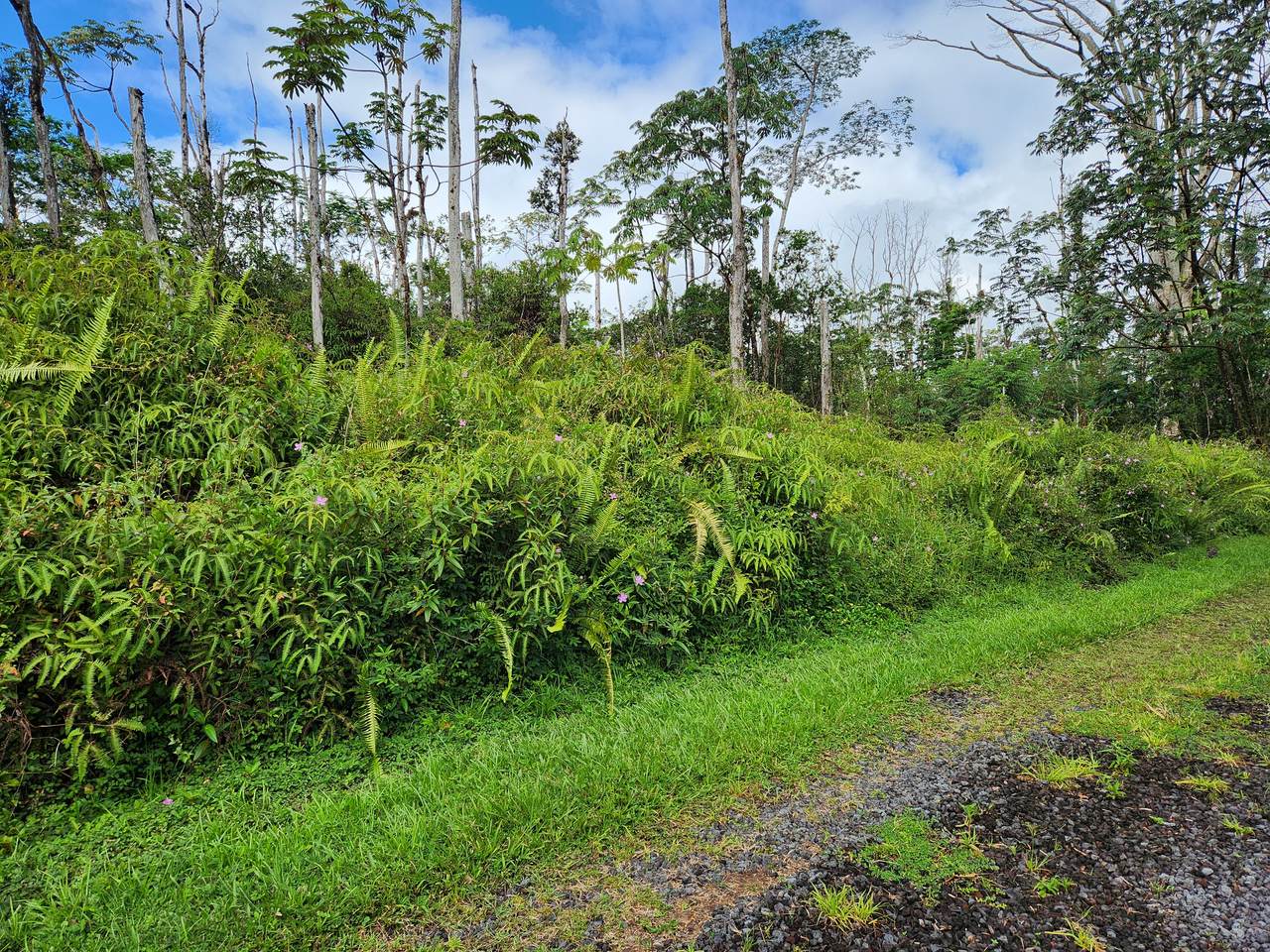 https://bt-photos.global.ssl.fastly.net/hawaii/1280_boomver_1_722995-1.jpg