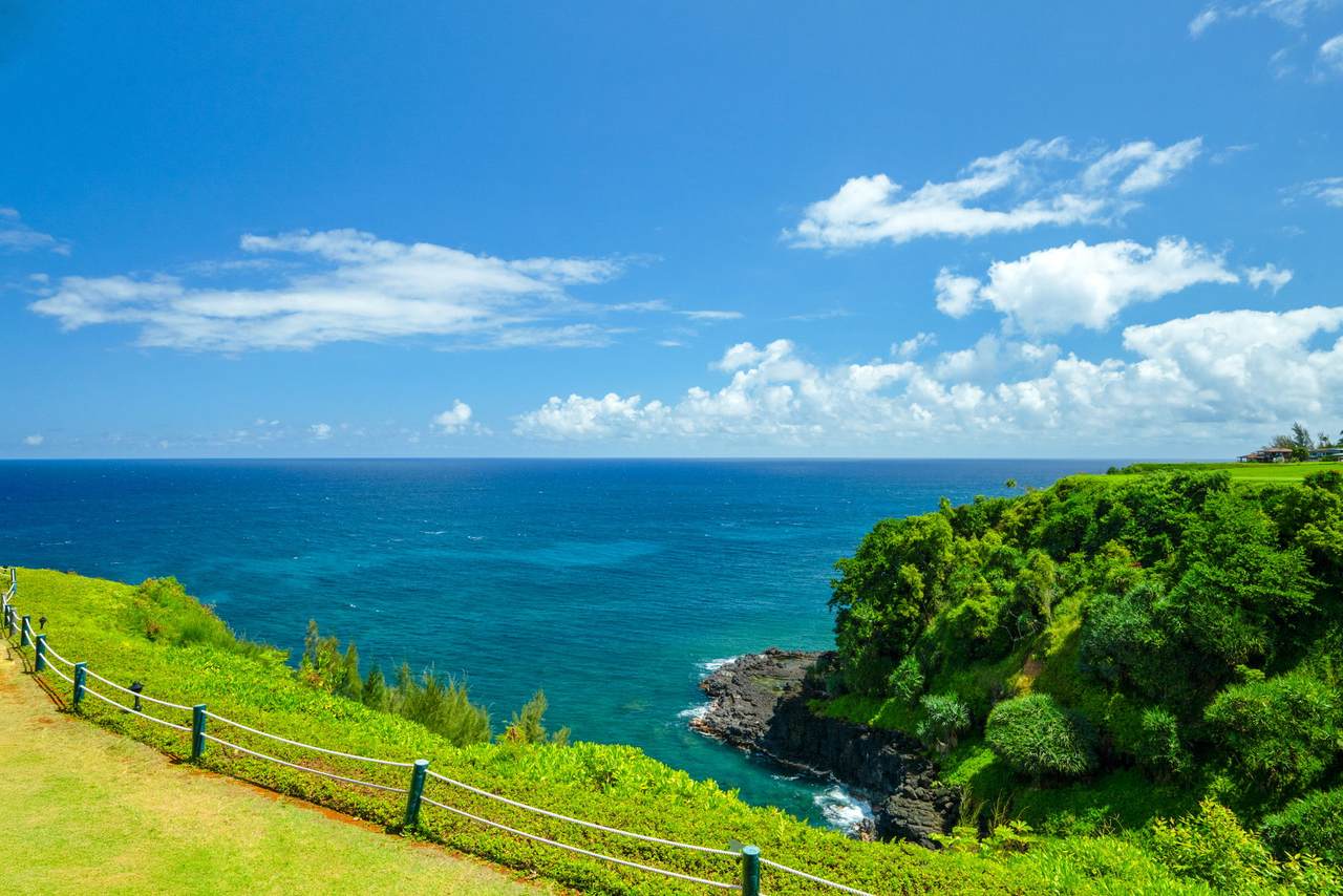 5300 Ka Haku Rd - Photo 1