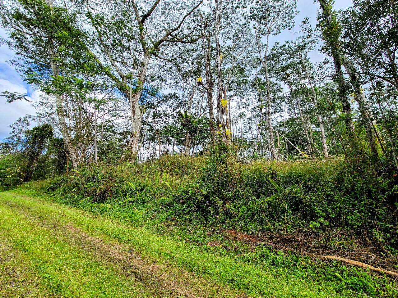  Kahoolawe Rd - Photo 1