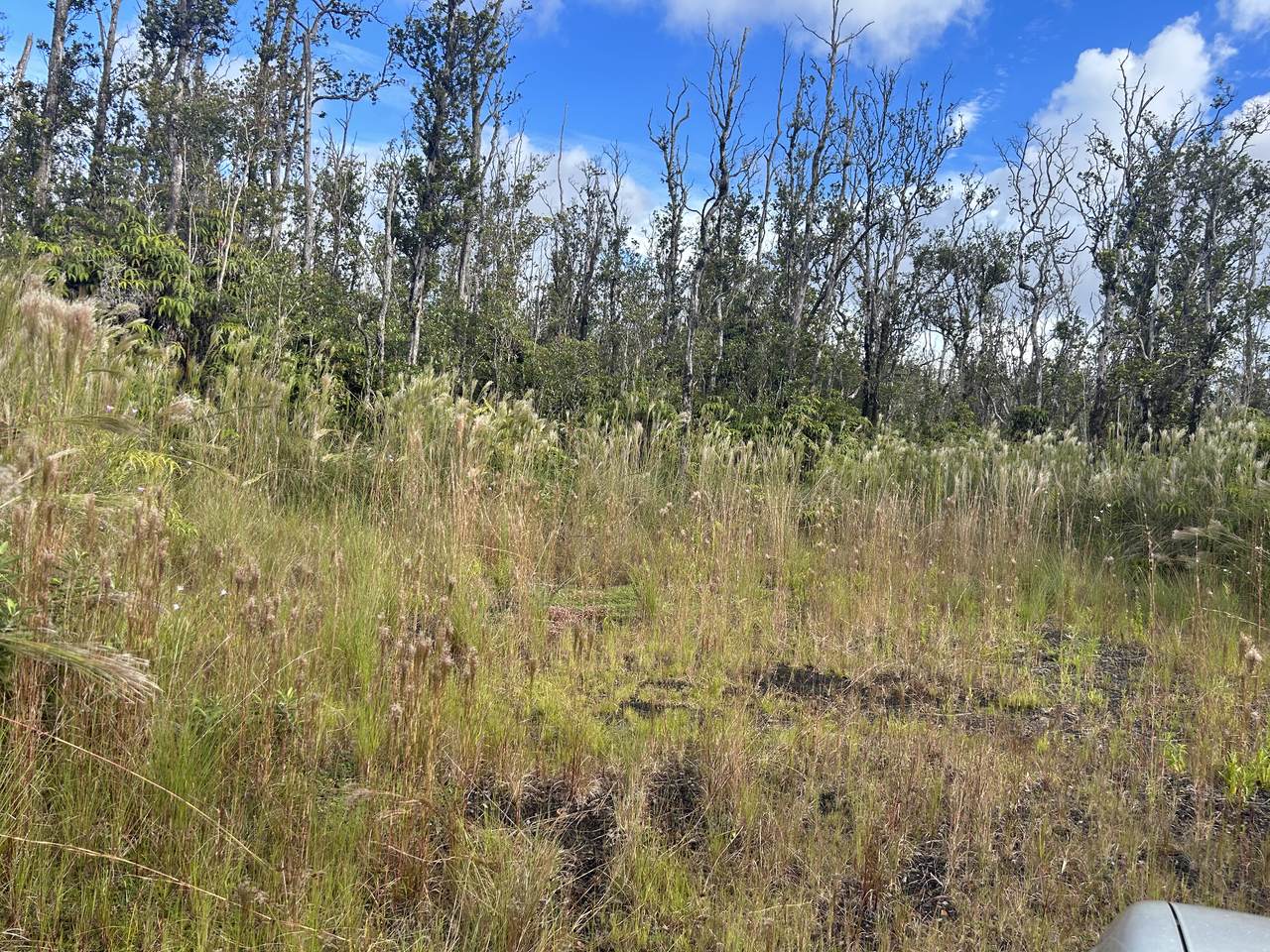  Ohialani Rd - Photo 1