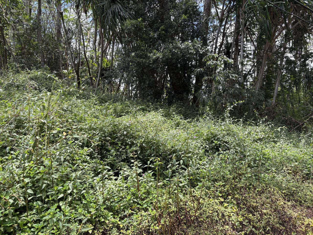 15-281 Kahakai Blvd - Photo 1