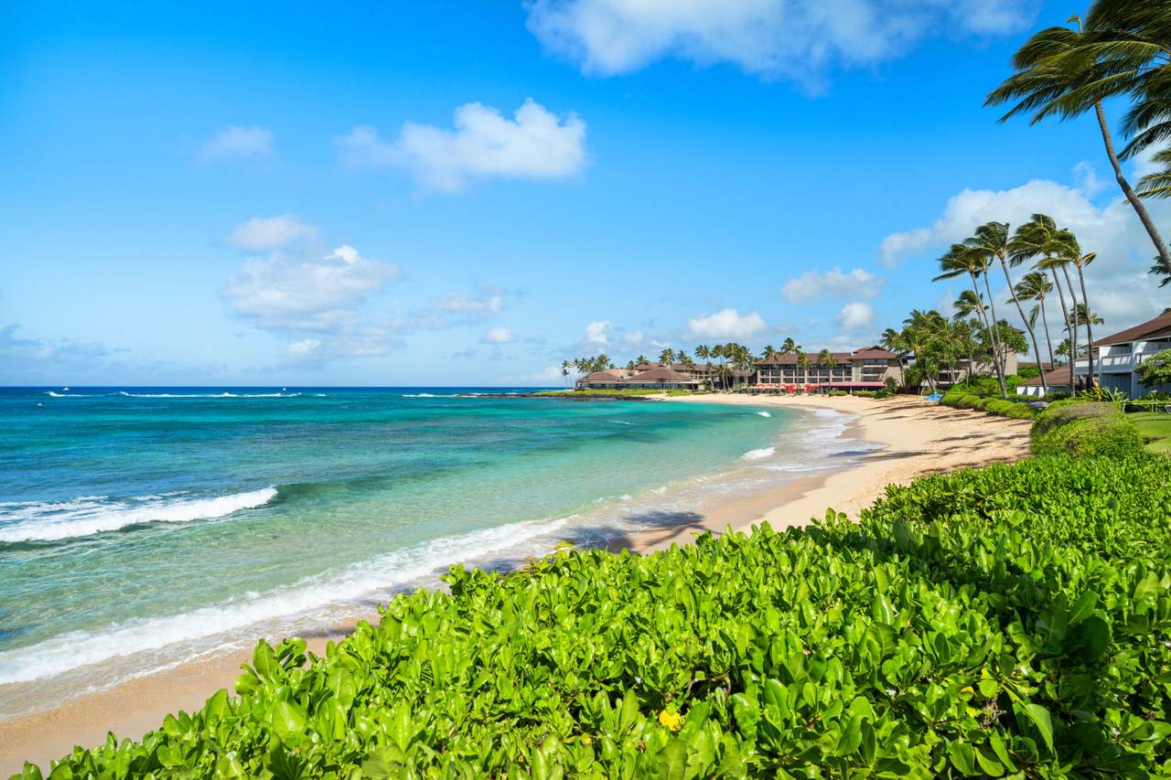 2253 Poipu Rd - Photo 1