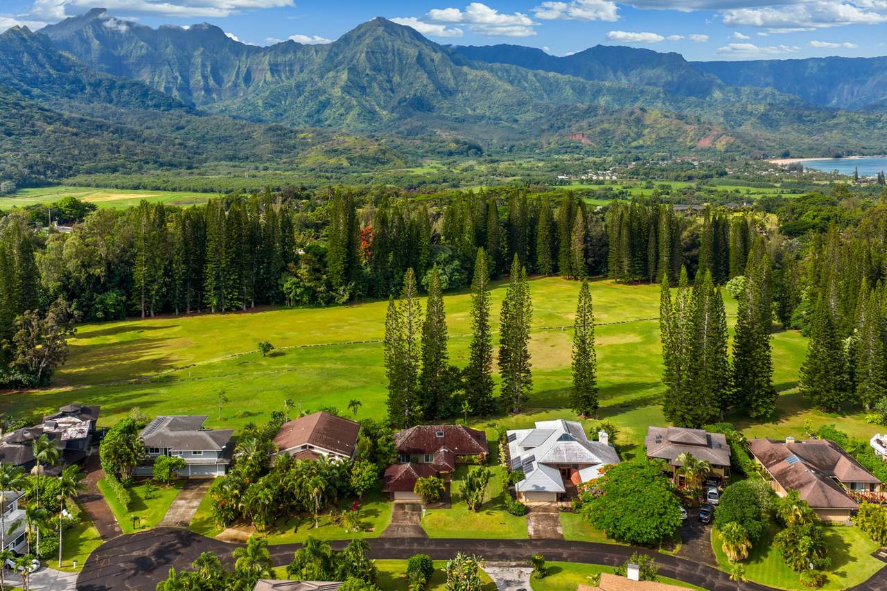 4187 Kamalani Ln - Photo 1