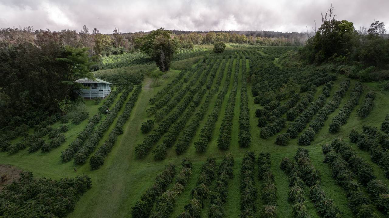 87-2854 Hawaii Belt Rd - Photo 1