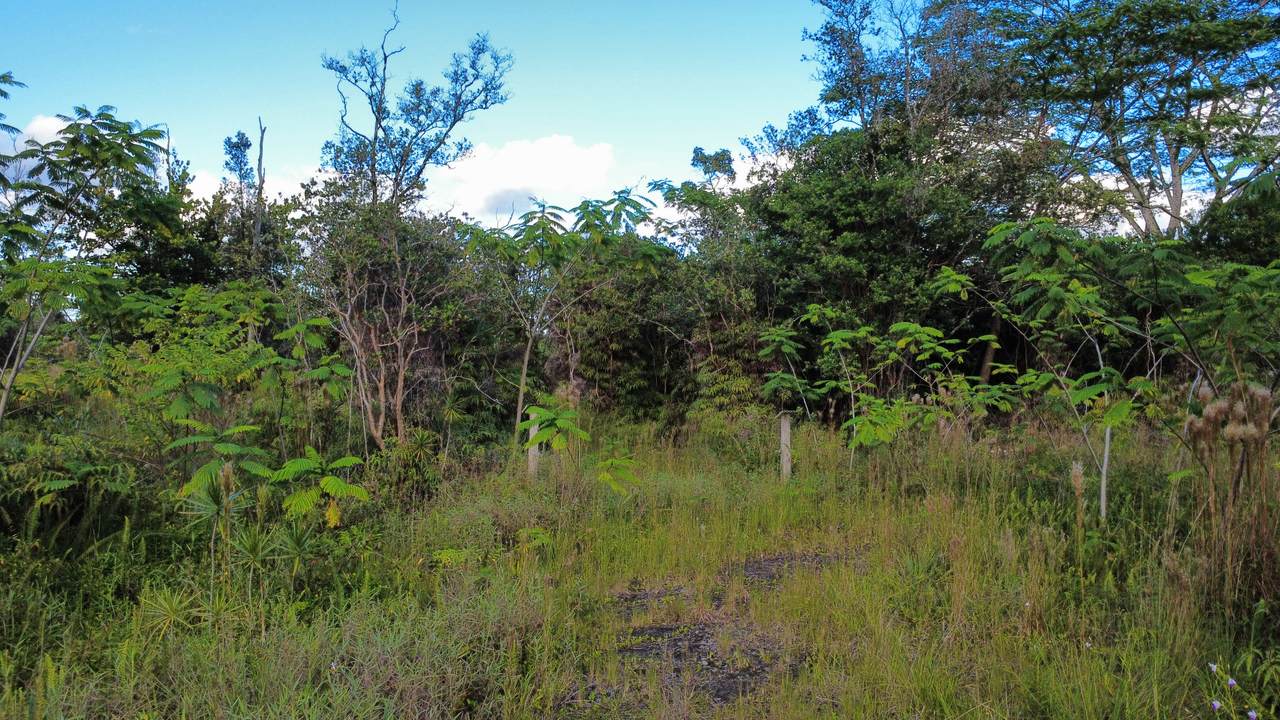  Road 11 (Pulelehua) - Photo 1