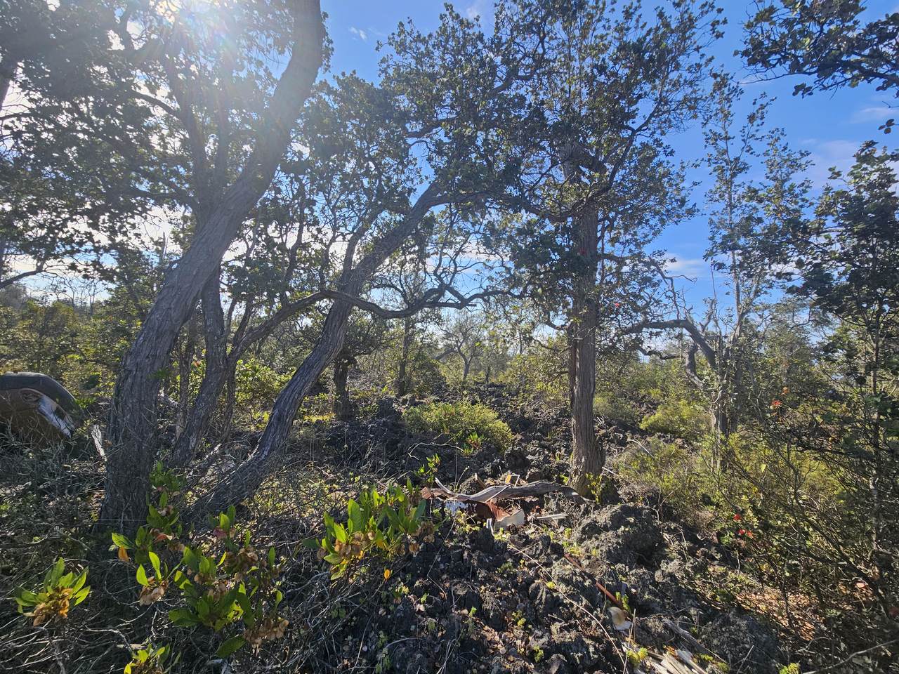 https://bt-photos.global.ssl.fastly.net/hawaii/1280_boomver_1_724318-1.jpg