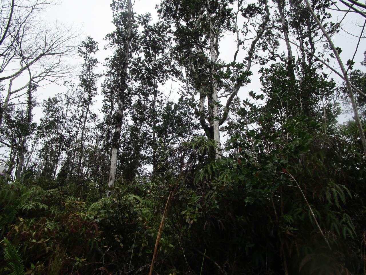  Road 8 (Moho) - Photo 1