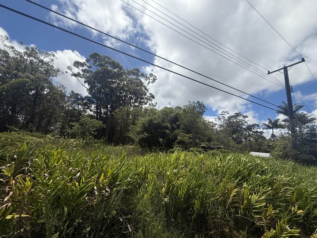 18-1977 Ohia Nani Rd - Photo 1