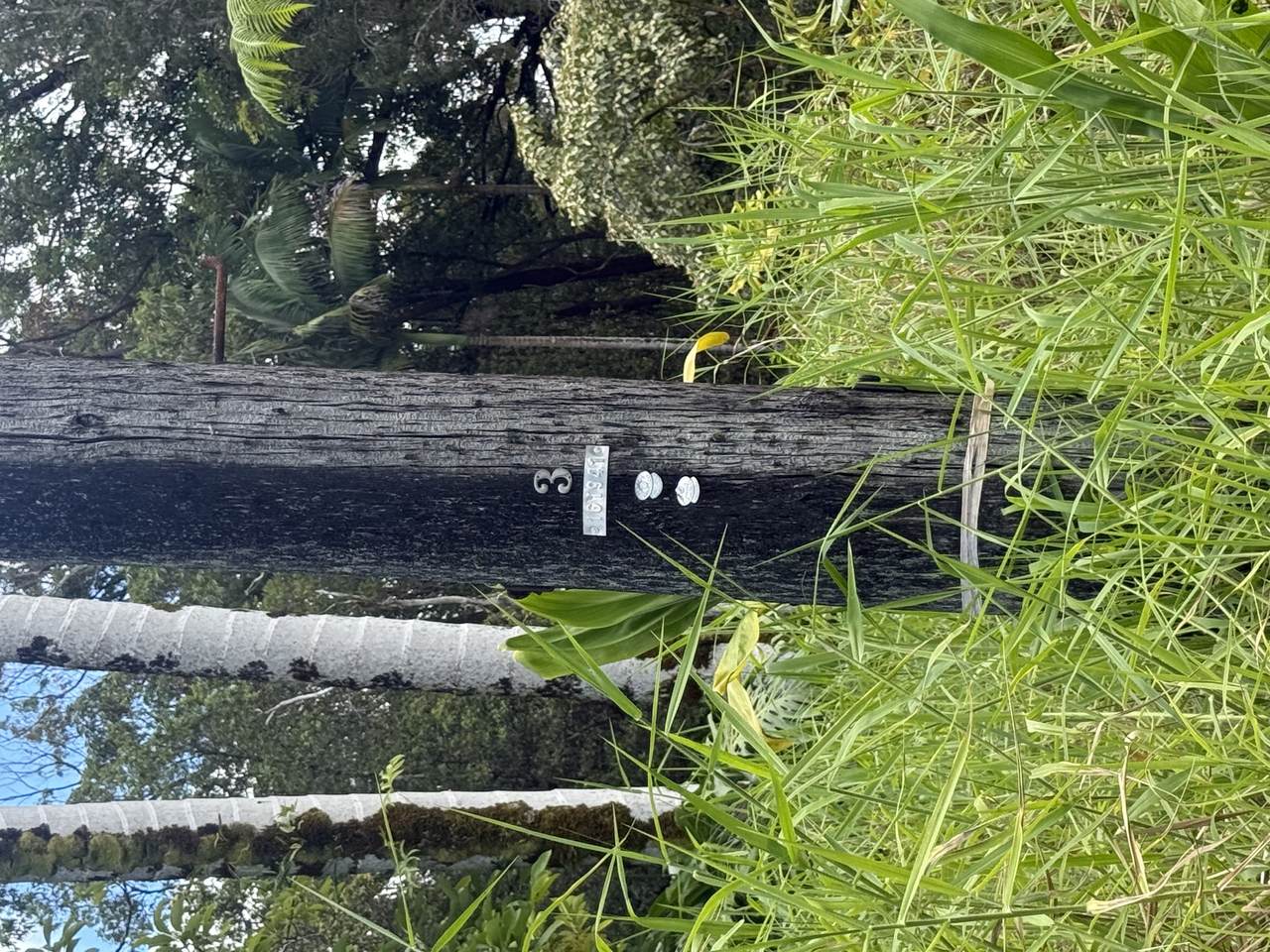 https://bt-photos.global.ssl.fastly.net/hawaii/1280_boomver_1_724425-1.jpg