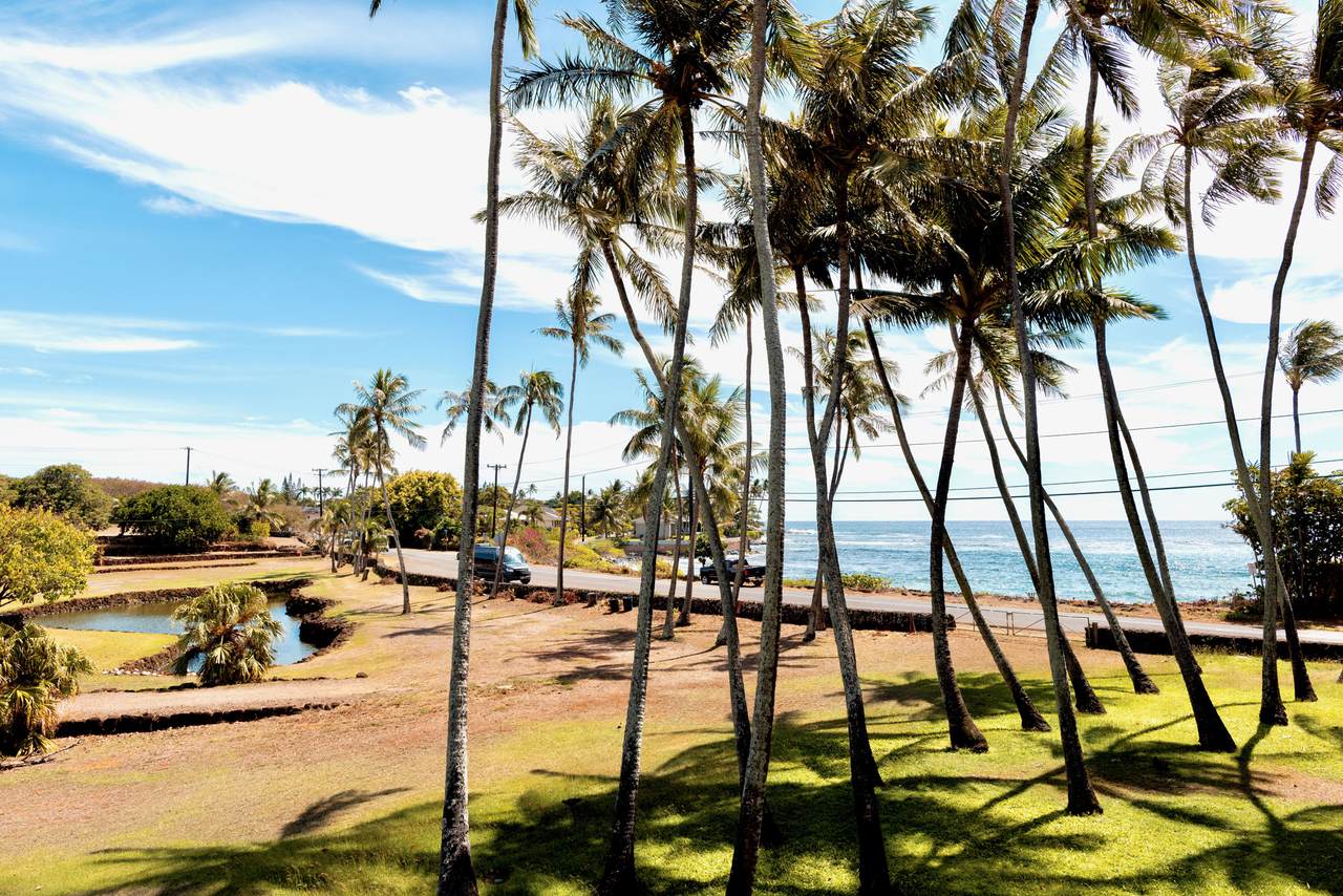 https://bt-photos.global.ssl.fastly.net/hawaii/1280_boomver_1_724464-1.jpg