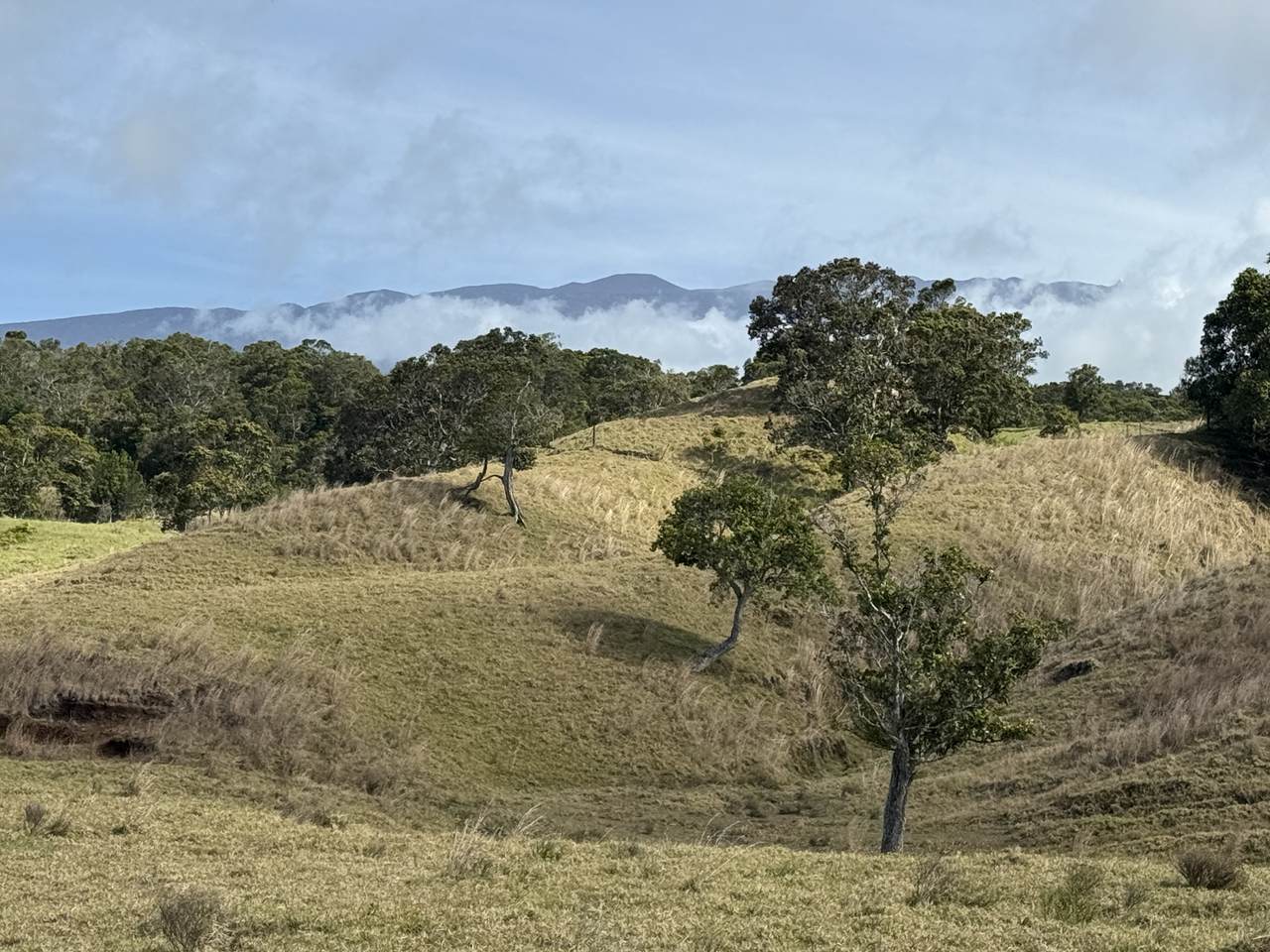 44-2135 Pohakealani Rd - Photo 1