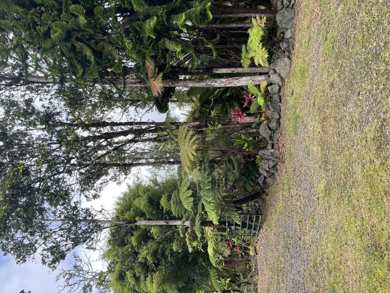  Omaomao Rd - Photo 1