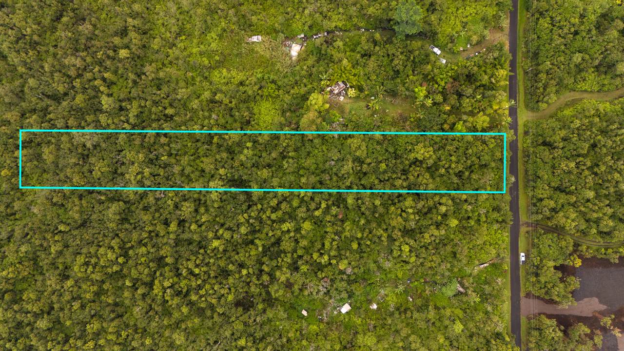 11-2762 Hibiscus St - Photo 1