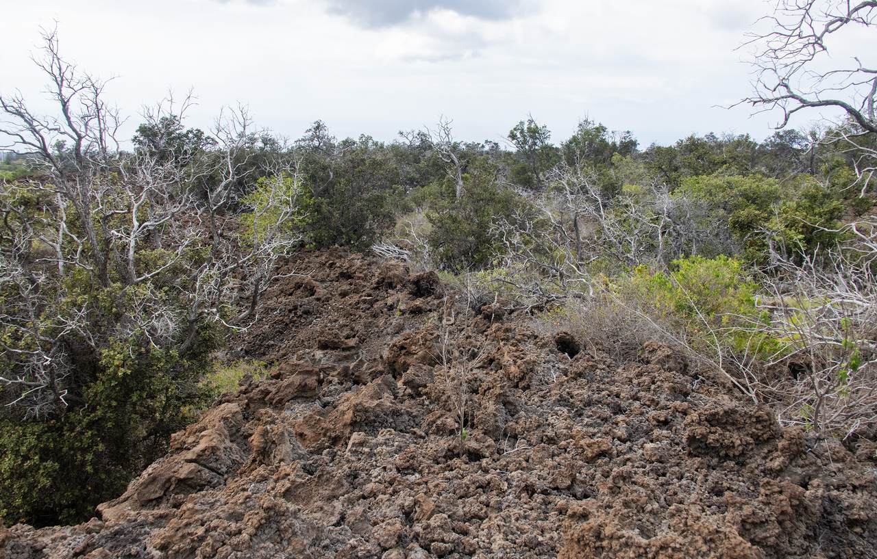  Kahili Blvd - Photo 1