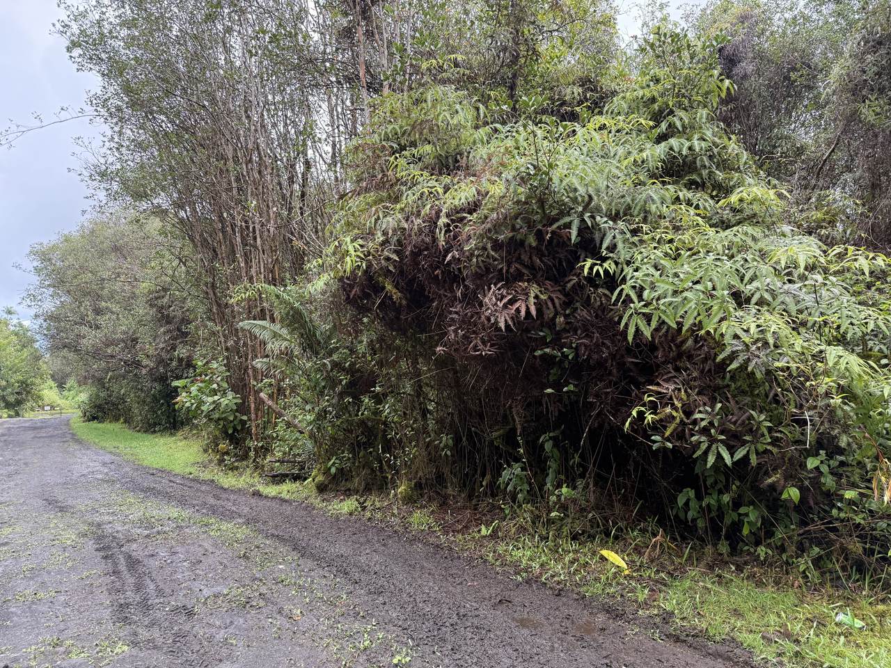  Waikiki St - Photo 1