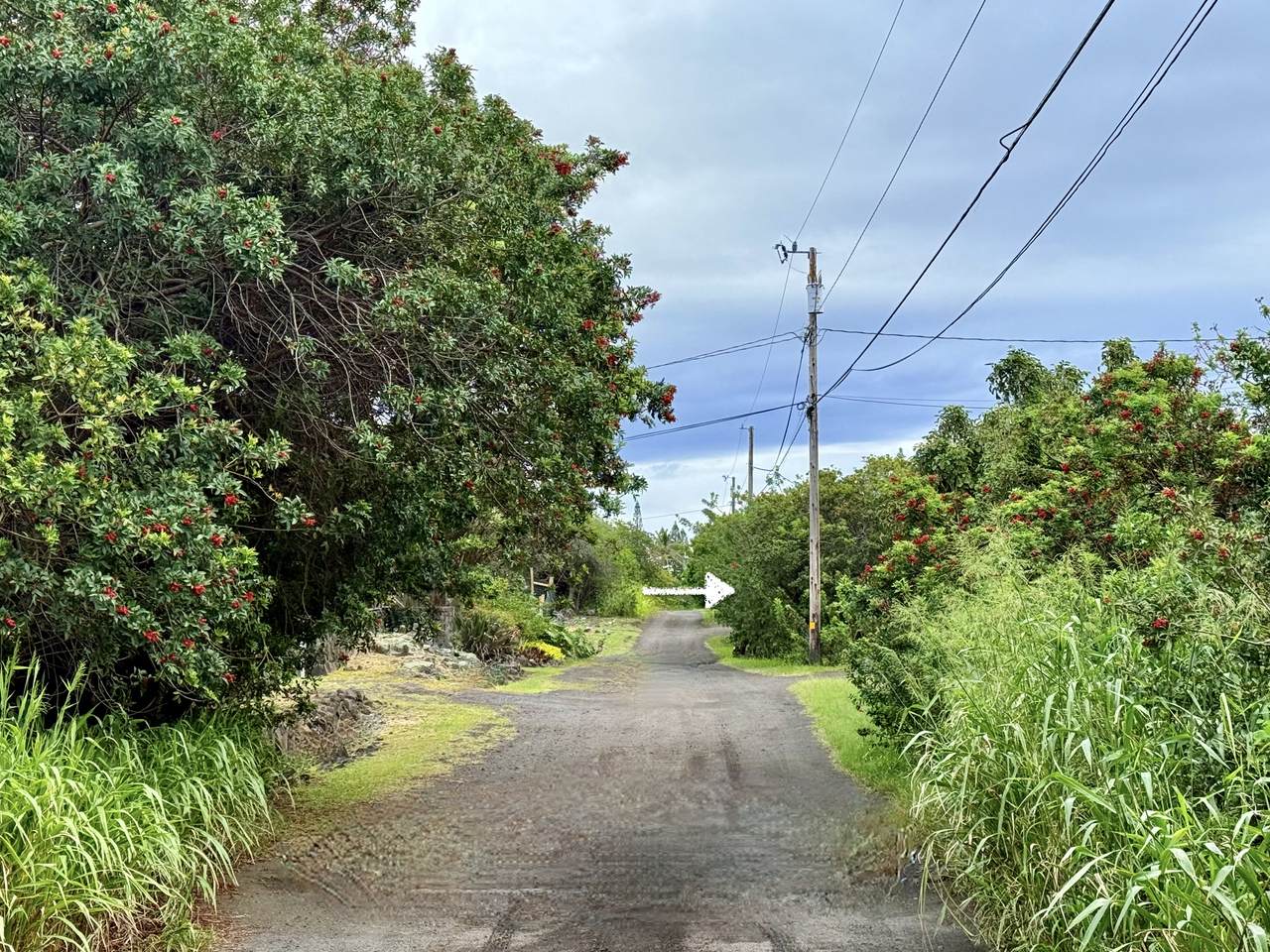 https://bt-photos.global.ssl.fastly.net/hawaii/1280_boomver_2_725763-3.jpg