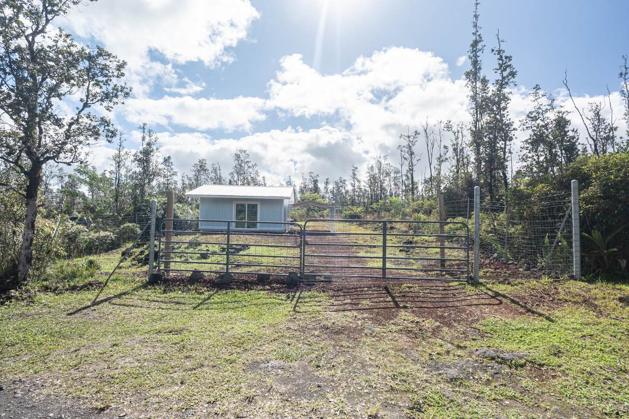 16-893 Road B (Kea) - Photo 1