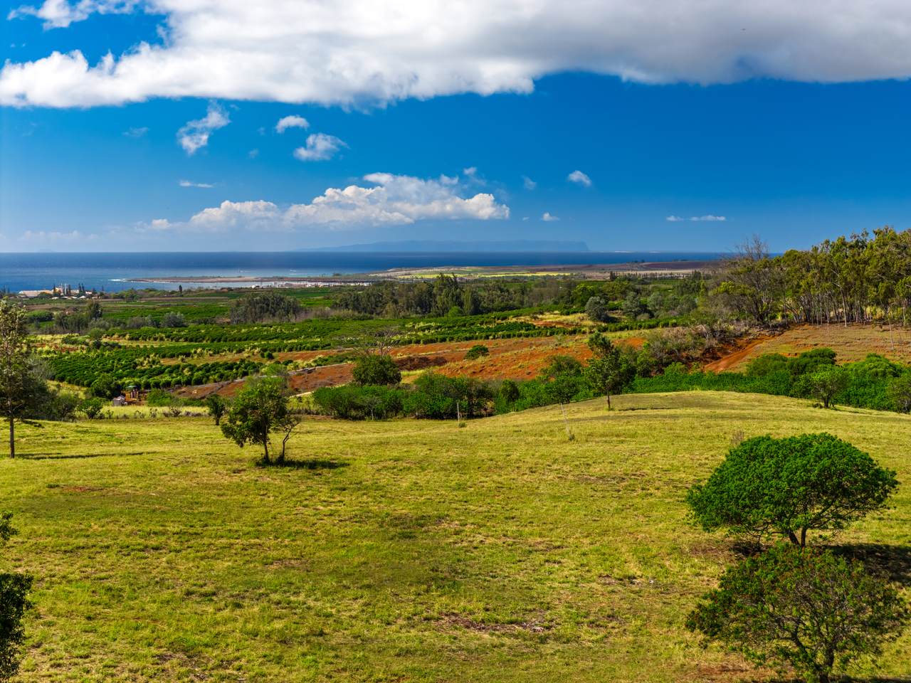https://bt-photos.global.ssl.fastly.net/hawaii/1280_boomver_2_725913-3.jpg