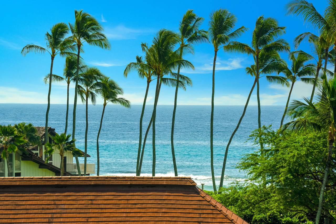 2253 Poipu Rd - Photo 1