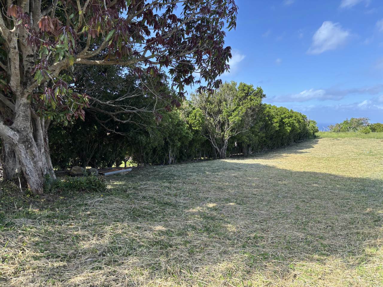  Address Not Published - Photo 1