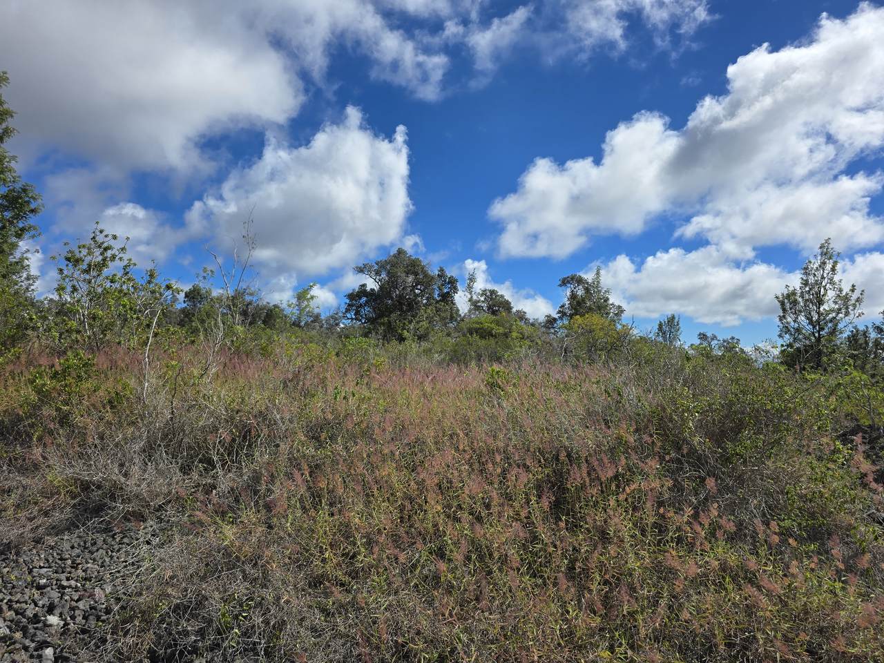  Paradise Cir Mauka - Photo 1