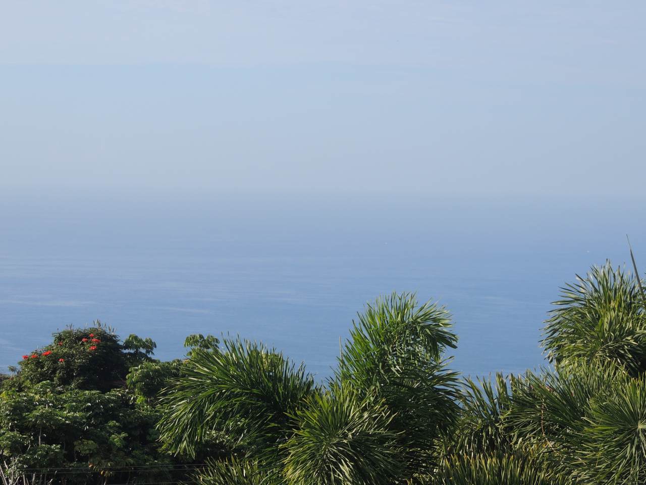 79-7199 Mamalahoa Hwy - Photo 1