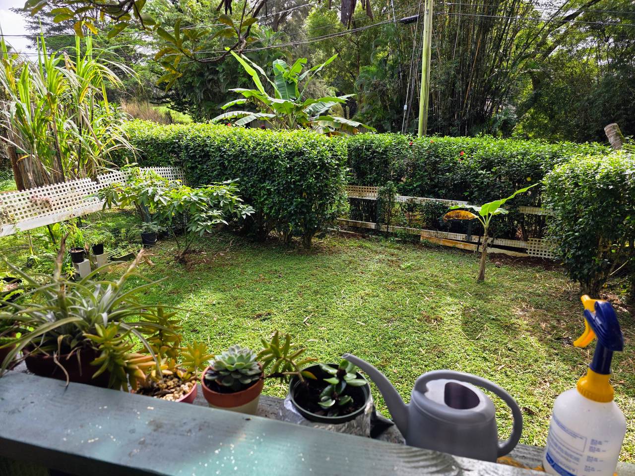 https://bt-photos.global.ssl.fastly.net/hawaii/1280_boomver_1_726878-1.jpg