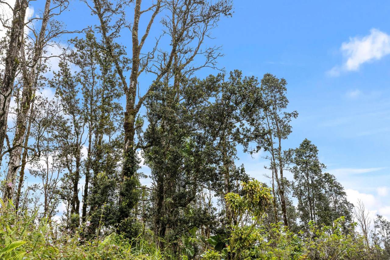 https://bt-photos.global.ssl.fastly.net/hawaii/1280_boomver_2_726896-1.jpg