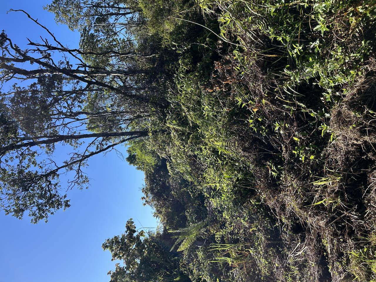 15-1510 8TH AVE - Photo 1