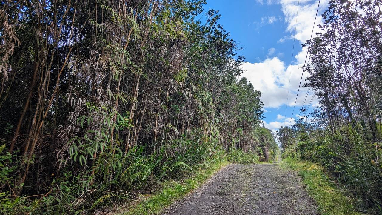 16-1395 Road 5 (Uau) - Photo 1