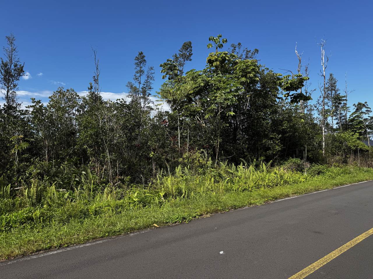 16-2100 Gardenia Dr - Photo 1