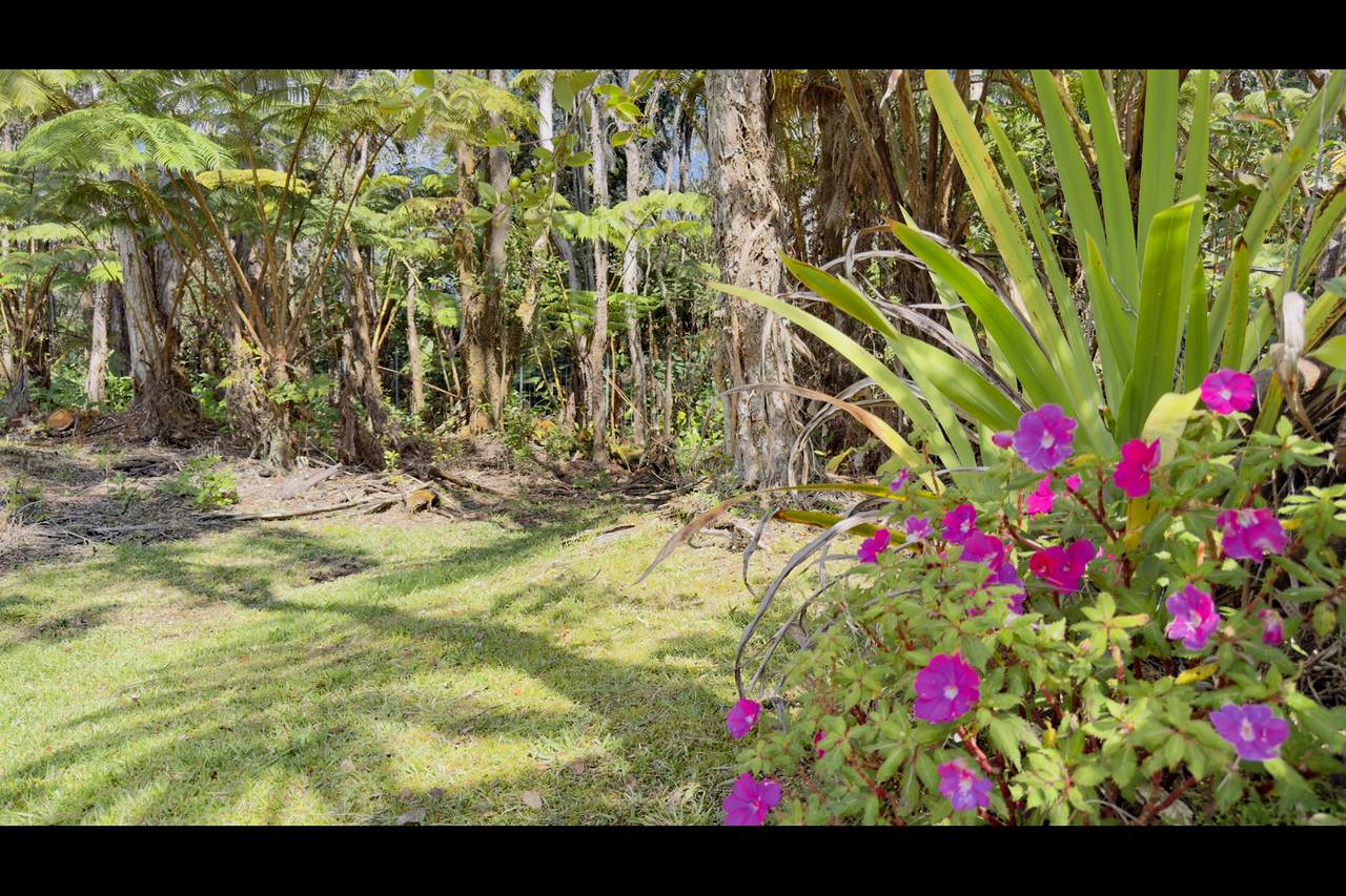  Haunani Rd - Photo 1