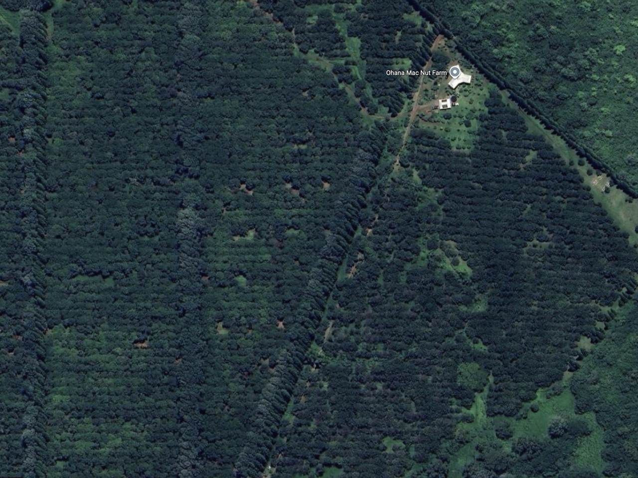  Address Not Published - Photo 1