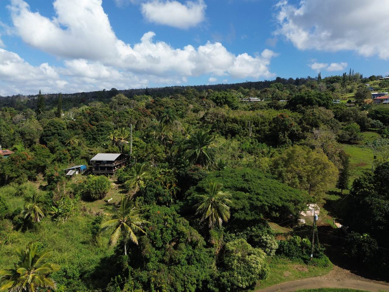 82-1161 Kinue Rd - Photo 1