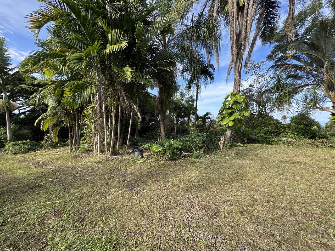 https://bt-photos.global.ssl.fastly.net/hawaii/1280_boomver_1_727286-1.jpg